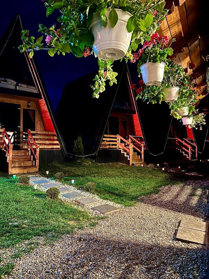 A-Frame Bucovina- Paradis Bucovinean Capu Cîmpului Exterior foto
